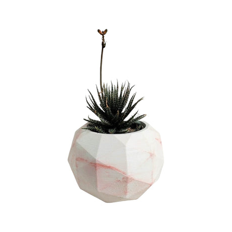 Matera de mesa Laia Mármol Rosa 7x8cm de Cemento Circular de 0.3 Litros - Jardineria | Bylmo
