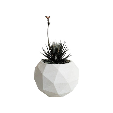 Matera de mesa Laia Blanco 7x8cm de Cemento Circular de 0.3 Litros - Jardineria | Bylmo