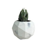 Matera de mesa Laia Mármol Negro 7x8cm de Cemento Circular de 0.3 Litros - Jardineria | Bylmo