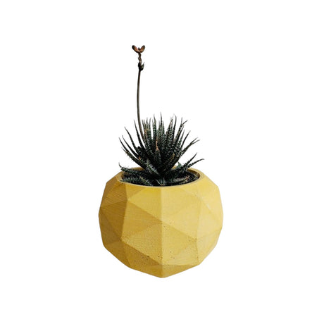 Matera de mesa Laia Amarillo 7x8cm de Cemento Circular de 0.3 Litros - Jardineria | Bylmo