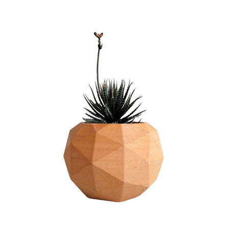 Matera de mesa Laia Terracota 7x8cm de Cemento Circular de 0.3 Litros - Jardineria | Bylmo