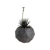 Matera de mesa Laia Gris Oscuro 7x8cm de Cemento Circular de 0.3 Litros - Jardineria | Bylmo