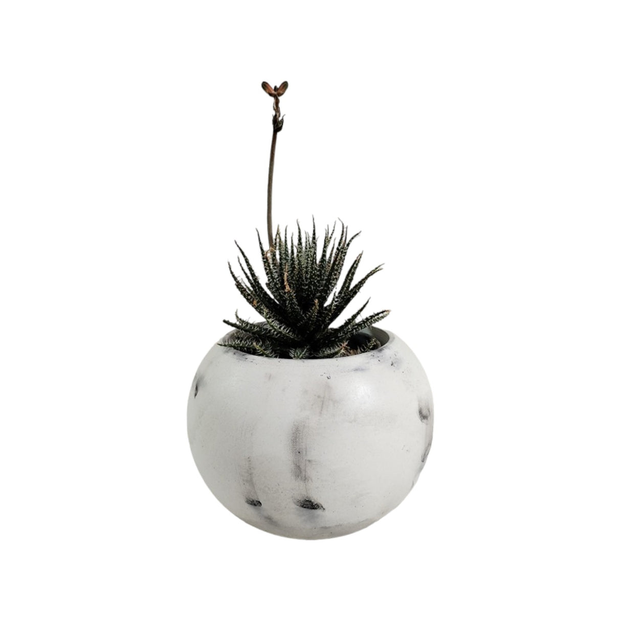 Matera de mesa Luna Mármol Negro 6x7cm de Cemento Circular de 0.2 Litros - Jardineria | Bylmo