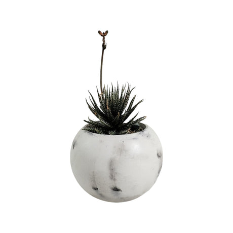 Matera de mesa Luna Mármol Negro 6x7cm de Cemento Circular de 0.2 Litros - Jardineria | Bylmo