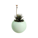 Matera de mesa Luna Verde Menta 6x7cm de Cemento Circular de 0.2 Litros - Jardineria | Bylmo