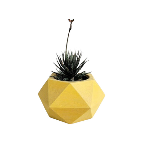Matera de mesa Adara Petty Amarillo 7x7cm de Cemento Hexagonal de 0.2 Litros - Jardineria | Bylmo