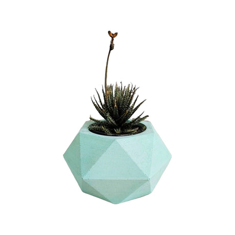 Matera de mesa Adara Petty Aguamarina 7x7cm de Cemento Hexagonal de 0.2 Litros - Jardineria | Bylmo