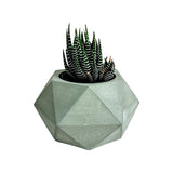 Matera de mesa Adara Petty Verde Oliva 7x7cm de Cemento Hexagonal de 0.2 Litros - Jardineria | Bylmo