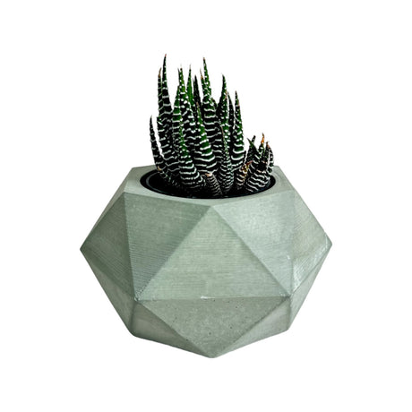 Matera de mesa Adara Petty Verde Oliva 7x7cm de Cemento Hexagonal de 0.2 Litros - Jardineria | Bylmo