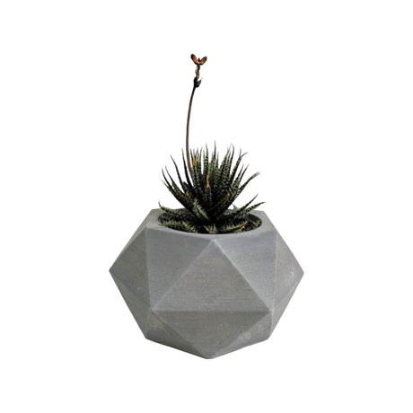Matera de mesa Adara Petty Gris 7x7cm de Cemento Hexagonal de 0.2 Litros - Jardineria | Bylmo