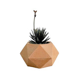Matera de mesa Adara Petty Café 7x7cm de Cemento Hexagonal de 0.2 Litros - Jardineria | Bylmo