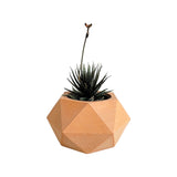 Matera de mesa Adara Petty Terracota 7x7cm de Cemento Hexagonal de 0.2 Litros - Jardineria | Bylmo
