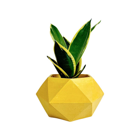 Matera de mesa Adara Amarillo 18x11cm de Cemento Hexagonal de 2.3 Litros - Jardineria | Bylmo