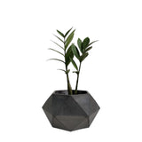 Matera de mesa Adara Gris Oscuro 18x11cm de Cemento Hexagonal de 2.3 Litros - Jardineria | Bylmo
