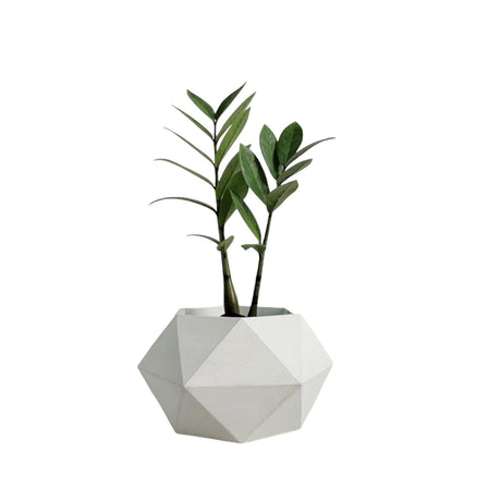 Matera de mesa Adara Blanco 18x11cm de Cemento Hexagonal de 2.3 Litros - Jardineria | Bylmo