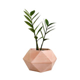Matera de mesa Adara Palo de Rosa 18x11cm de Cemento Hexagonal de 2.3 Litros - Jardineria | Bylmo