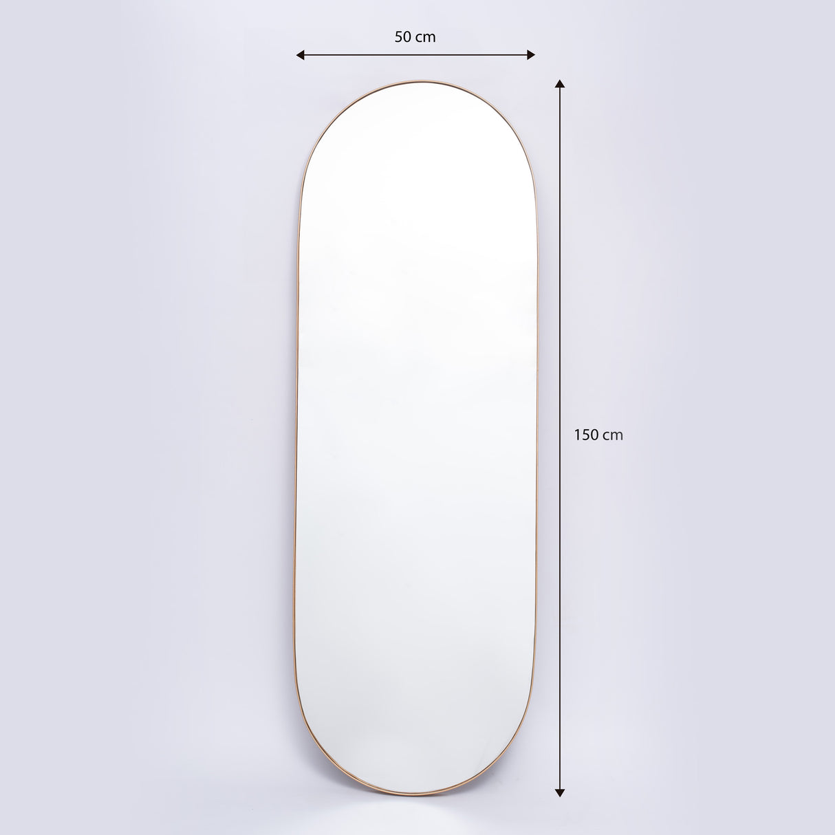 Espejo de Pared Plata 50x150cm Ovalado con Marco Metalico - ESPEJOS DE PARED | Bylmo