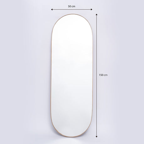 Espejo de Pared Plata 50x150cm Ovalado con Marco Metalico - ESPEJOS DE PARED | Bylmo