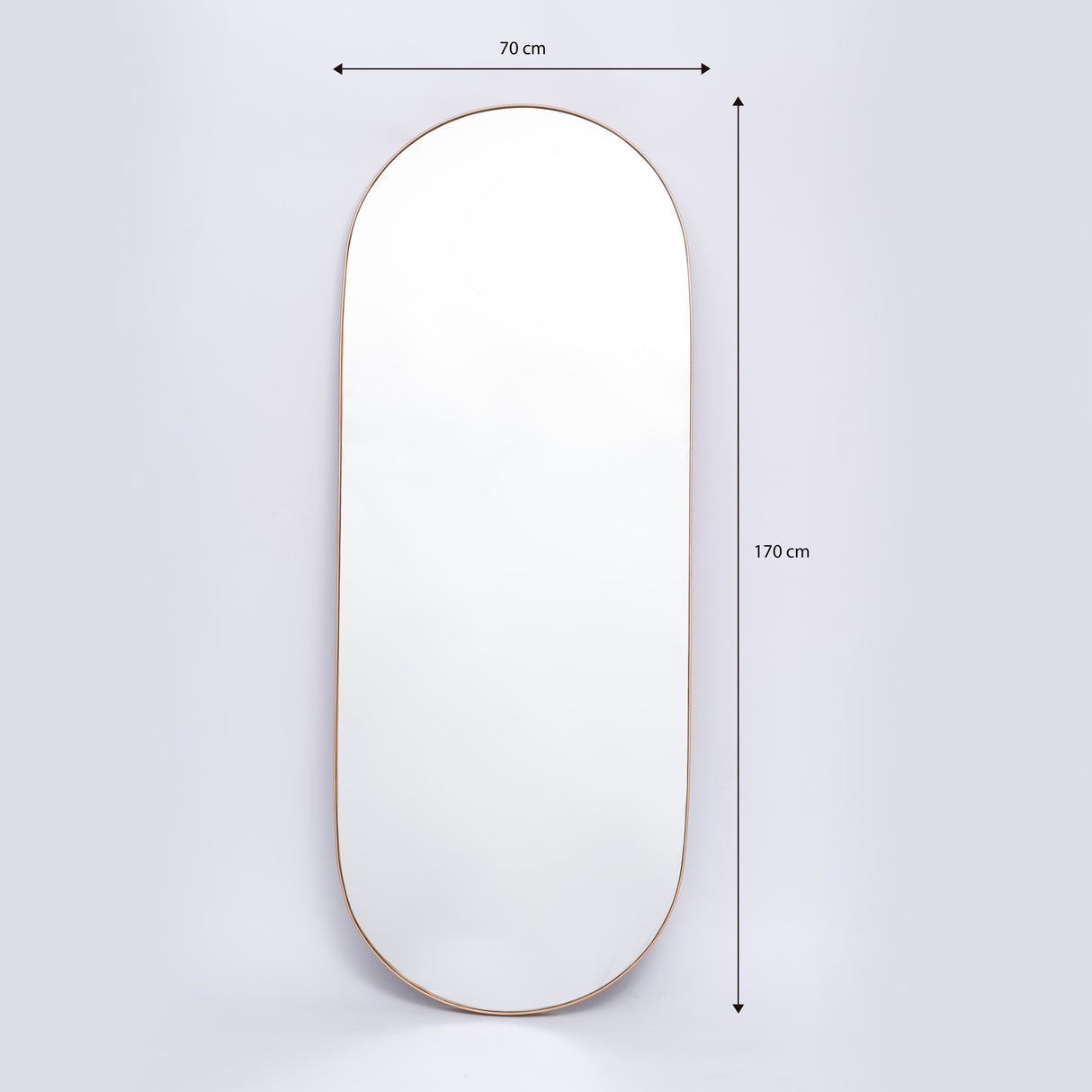 Espejo de Pared Plata 70x170cm Ovalado con Marco Metalico - ESPEJOS DE PARED | Bylmo