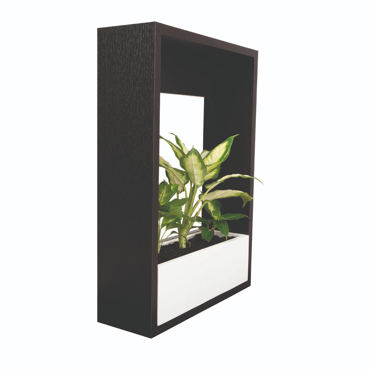 Matera Leyla Blanco 50x12cm Rectangular Tradicional de Piso - Materas y Macetas | Bylmo