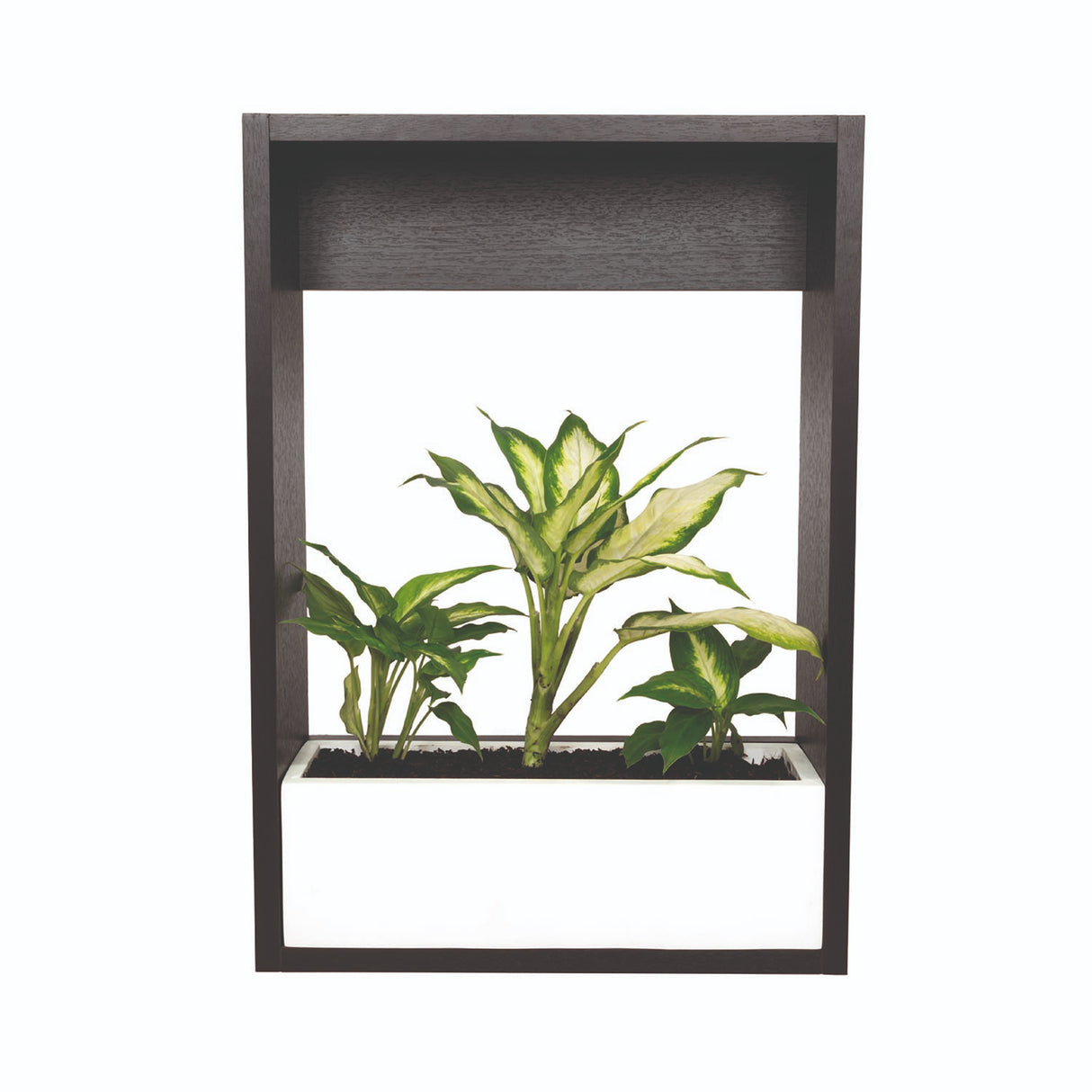 Matera Leyla Blanco 50x12cm Rectangular Tradicional de Piso - Materas y Macetas | Bylmo