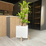 Matera Lucia Cafe 30x30cm Cuadrada Tradicional de Piso - Materas y Macetas | Bylmo