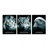 Set 3 Cuadros de Lienzo Determinación 43x60cm Decorativos - Cuadros | Bylmo