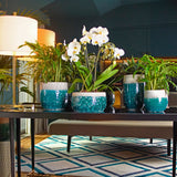 Matera Iris Verde Marino 22x20cm Cónica De Escritorio - Materas y Macetas | Bylmo