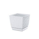 Matera Ratolla Square Blanco 25x22cm Cuadrada De Escritorio - Materas y Macetas | Bylmo