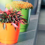 Matera Coubi Round Blanco 21x19.3cm Cónica De Escritorio - Materas y Macetas | Bylmo