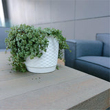 Matera Ratolla Round Blanco 25x21.9cm Cónica De Escritorio - Materas y Macetas | Bylmo