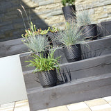 Matera Ratolla Round Cafe 25x21.9cm Cónica De Escritorio - Materas y Macetas | Bylmo