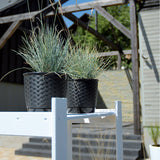 Matera Ratolla Round Cafe 25x21.9cm Cónica De Escritorio - Materas y Macetas | Bylmo