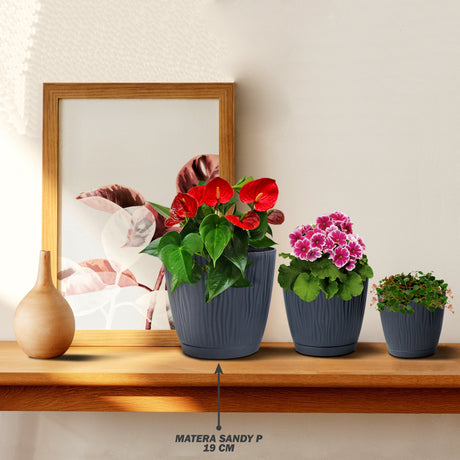 Matera Sandy P Antracita 18.8x17.5cm Cónica De Escritorio - Materas y Macetas | Bylmo