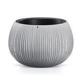 Matera Beton Bowl Gris Concreto 29x19.5cm Cónica De Escritorio - Materas y Macetas | Bylmo