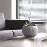 Matera Beton Bowl Gris Concreto 29x19.5cm Cónica De Escritorio - Materas y Macetas | Bylmo