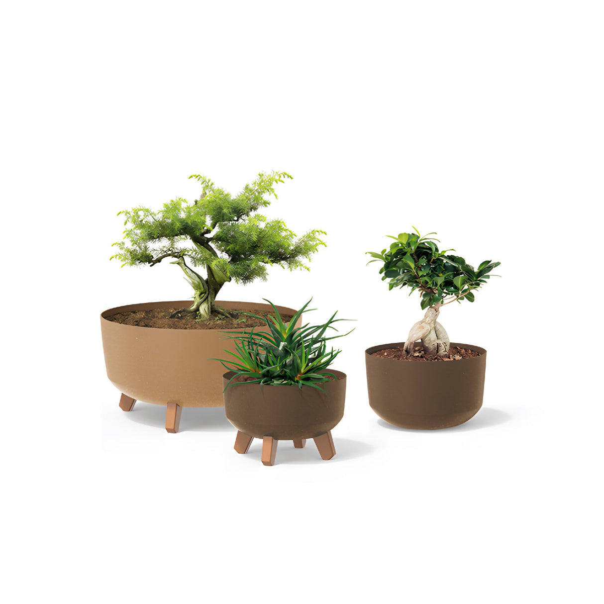 Matera Gracia Round Low Eco Wood Cafe Claro 28.5x17.7cm Cónica Tradicionales De Piso - Materas y Macetas | Bylmo