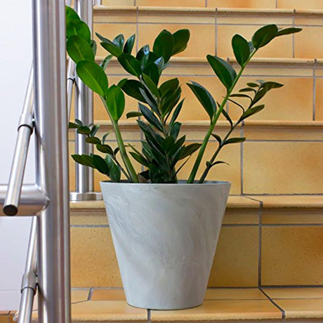 Matera Tubus Beton Gris Concreto 20x18cm Cónica De Escritorio - Materas y Macetas | Bylmo