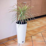 Matera Tubus Rato Blanco 40x76.3cm Cónica Tradicionales De Piso - Materas y Macetas | Bylmo