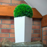 Matera Urbi Blanco 14x26.5cm Cuadrada Tradicionales De Piso - Materas y Macetas | Bylmo