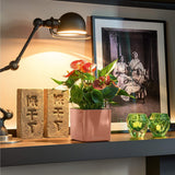 Matera Cube Cobre 14x14cm Cuadrada De Escritorio Con Sistema de Riego Automático - Materas y Macetas | Bylmo