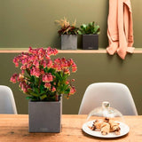 Matera Canto Gris Piedra 14x13.5cm Cuadrada De Escritorio Con Sistema de Riego Automático - Materas y Macetas | Bylmo