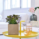 Matera Canto Arena 14x13.5cm Cuadrada De Escritorio Con Sistema de Riego Automático - Materas y Macetas | Bylmo