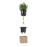 Matera Canto Arena 14x13.5cm Cuadrada De Escritorio Con Sistema de Riego Automático - Materas y Macetas | Bylmo