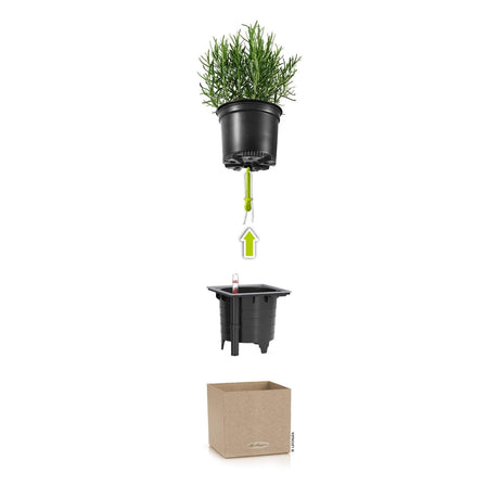 Matera Canto Arena 14x13.5cm Cuadrada De Escritorio Con Sistema de Riego Automático - Materas y Macetas | Bylmo