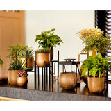 Matera Conic Round Groove Oro 14x13cm Cónica De Escritorio - Materas y Macetas | Bylmo