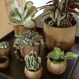 Matera Conic Round Groove Oro 17x15cm Cónica De Escritorio - Materas y Macetas | Bylmo