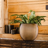 Matera Ball Groove Oro 21x19cm Cónica De Escritorio - Materas y Macetas | Bylmo