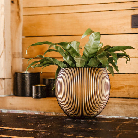 Matera Ball Groove Oro 21x19cm Cónica De Escritorio - Materas y Macetas | Bylmo