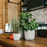 Matera Conic Round Groove Marfil 14x13cm Cónica De Escritorio - Materas y Macetas | Bylmo